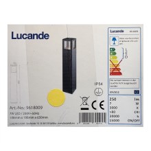 Lucande - LED Vanjska lampa NICOLA LED/7W/230V IP54