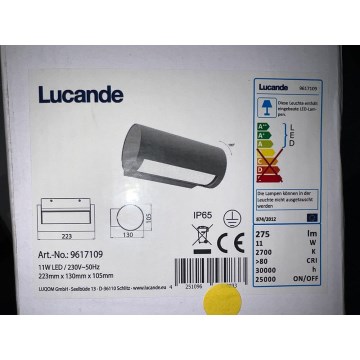 Lucande - LED Vanjska zidna svjetiljka BOHDAN LED/11W/230V IP65