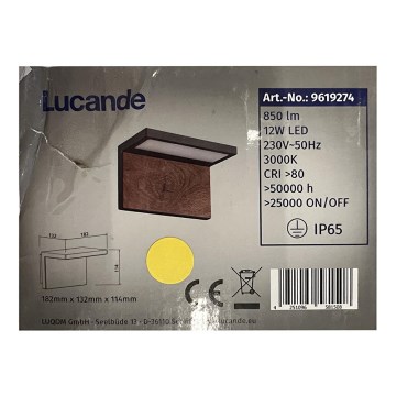 Lucande - LED Vanjska zidna svjetiljka LIGNUS LED/12W/230V IP65