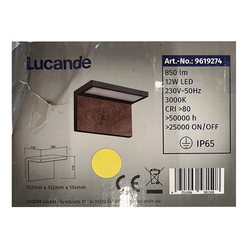 Lucande - LED Vanjska zidna svjetiljka LIGNUS LED/12W/230V IP65