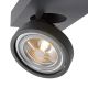 Lucide 09920/10/36 - LED Prigušiva reflektorska svjetiljka NENAD AR111 1xG53/10W/230V