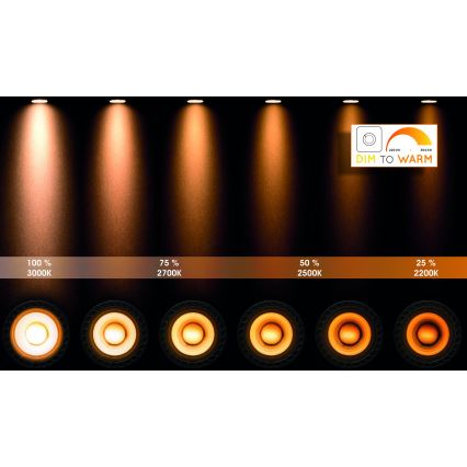 Lucide 09930/20/30 - LED Prigušiva reflektorska svjetiljka TAYLOR 4xGU10/5W/230V IP44