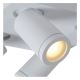 Lucide 09930/20/31 - LED Prigušiva reflektorska svjetiljka TAYLOR 4xGU10/5W/230V IP44