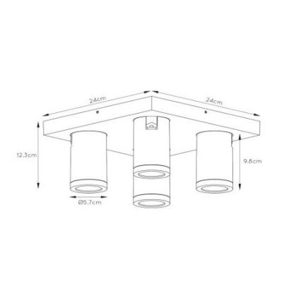 Lucide 09930/20/31 - LED Prigušiva reflektorska svjetiljka TAYLOR 4xGU10/5W/230V IP44