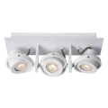 Lucide 17906/16/31 - LED Prigušiva reflektorska svjetiljka LANDA 3xGU10/5W/230V bijela