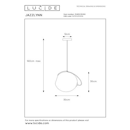 Lucide 25405/30/60 - Luster na sajli JAZZLYNN 1xE27/60W/230V pr. 30 cm