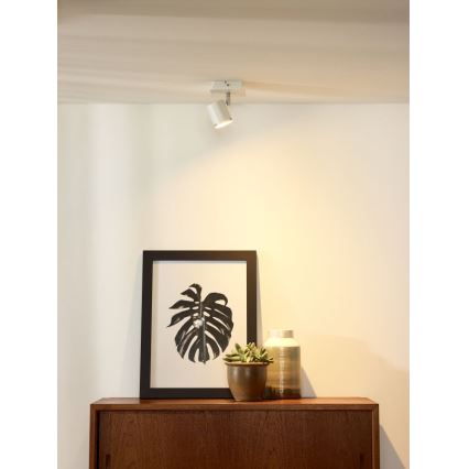 Lucide 26994/05/31 - LED Prigušiva reflektorska svjetiljka RILOU 1xGU10/5W/230V