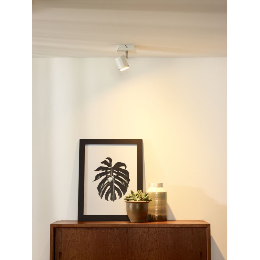 Lucide 26994/05/31 - LED Prigušiva reflektorska svjetiljka RILOU 1xGU10/5W/230V