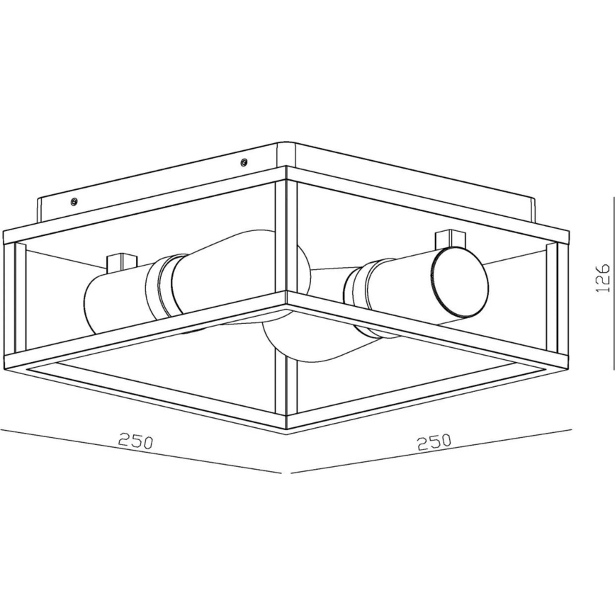 Lucide 27100/02/30 - Stropna svjetiljka za kupaonicu CARLYN 2xE14/6W/230V IP54 crna
