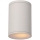 Lucide 27870/01/31 - Stropna svjetiljka za kupaonicu TUBIX 1xE27/24W/230V IP54