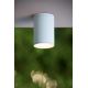 Lucide 27870/01/31 - Stropna svjetiljka za kupaonicu TUBIX 1xE27/24W/230V IP54