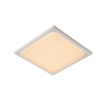 Lucide 28858/25/31 - LED svjetiljka za kupaonicu ORAS LED/20W/230V bijela IP54