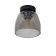 Lucide 30164/01/30 - Stropna svjetiljka za kupaonicu TYLER 1xG9/33W/230V IP44