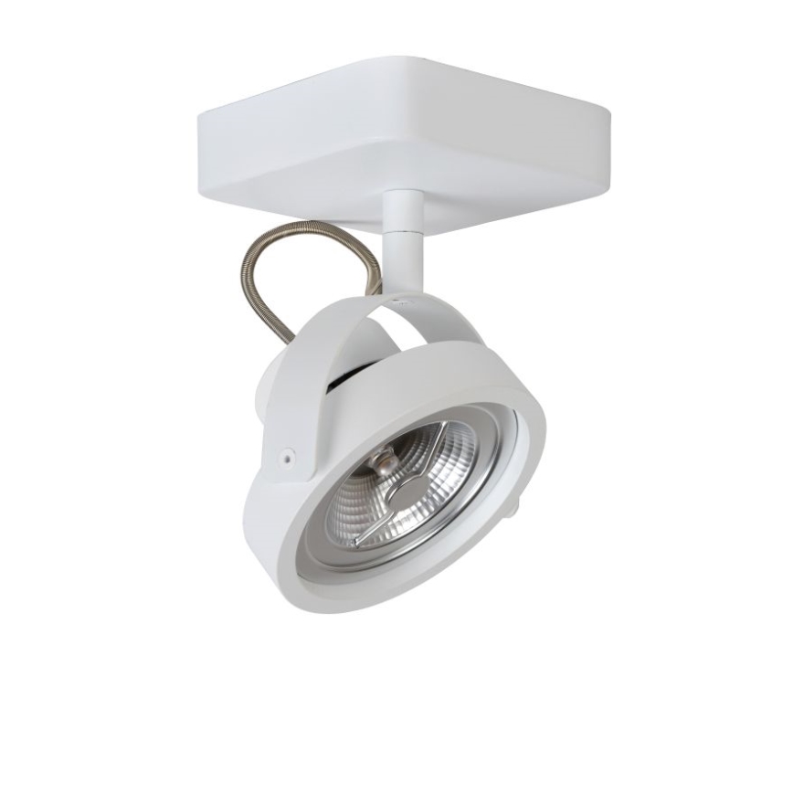 Lucide 31930/12/31 - LED Prigušiva reflektorska svjetiljka TALA LED 1xG53/12W/230V/12V