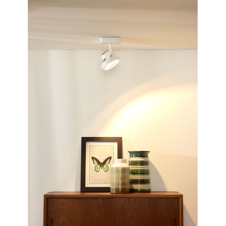 Lucide 31930/12/31 - LED Prigušiva reflektorska svjetiljka TALA LED 1xG53/12W/230V/12V