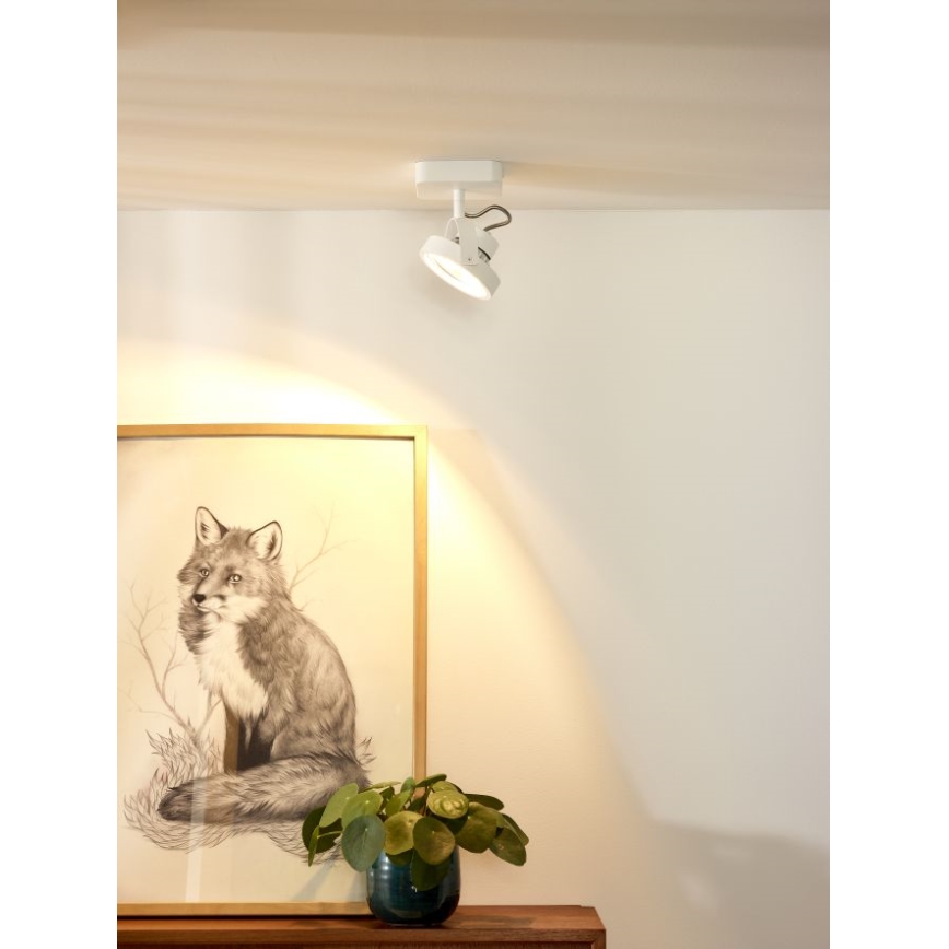 Lucide 31930/12/31 - LED Prigušiva reflektorska svjetiljka TALA LED 1xG53/12W/230V/12V