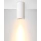 Lucide 35100/14/31 - Stropna svjetiljka GIPSY 1xGU10/35W/230V