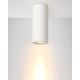 Lucide 35100/17/31 - Stropna svjetiljka GIPSY 1xGU10/35W/230V bijela