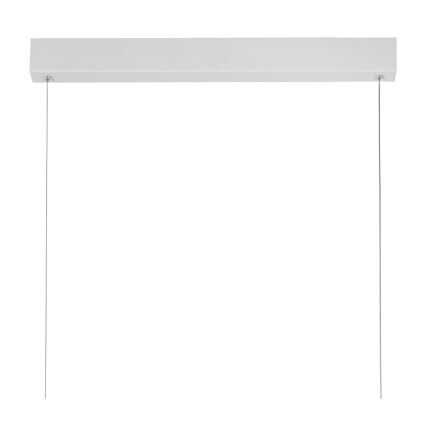 Lucide 45455/50/31 - LED prigušivač luster na užetu RAYA LED LED/36W/230V 119 cm bijela