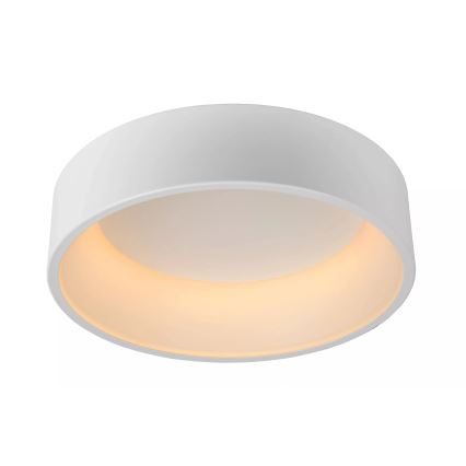 Lucide 46100/32/31 - LED Prigušiva stropna svjetiljka TALOWE LED LED/30W/230V