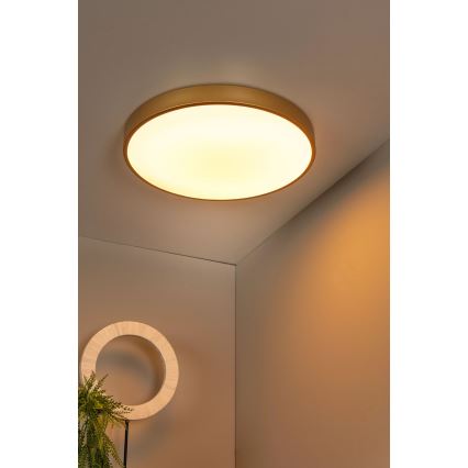 Lucide 79185/50/02 - LED Prigušiva stropna svjetiljka UNAR LED/36W/230V pr. 49,5 cm zlatna