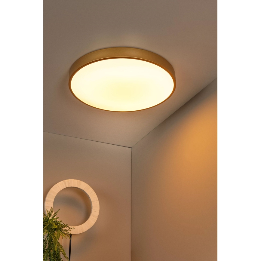 Lucide 79185/50/02 - LED Prigušiva stropna svjetiljka UNAR LED/36W/230V pr. 49,5 cm zlatna