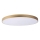 Lucide 79185/80/02 - LED Prigušiva stropna svjetiljka UNAR LED/80W/230V pr. 80 cm zlatna