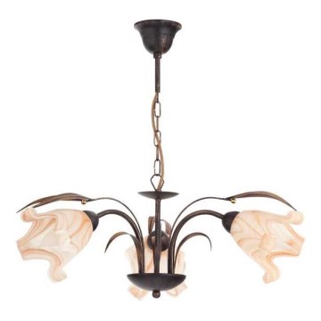 Luster na lancu DUCATTI 3xE14/10W/230V brončana