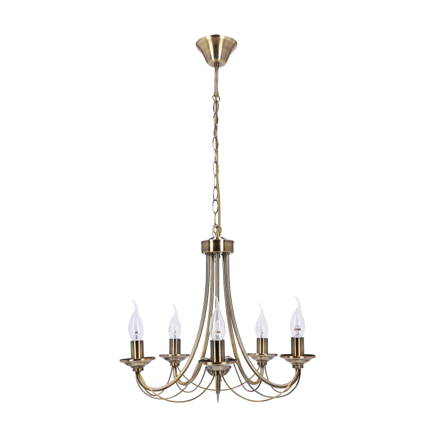 Luster na lancu MUZA 5xE14/40W/230V