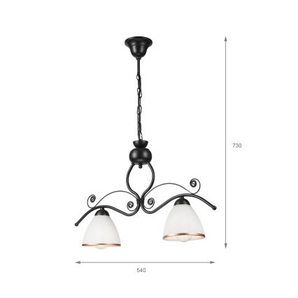 Luster na lancu RETRO 2xE27/60W/230V crna