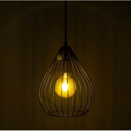 Luster na sajli 1xE27/60W/230V