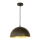 Luster na sajli 1xE27/60W/230V pr. 30 cm crna