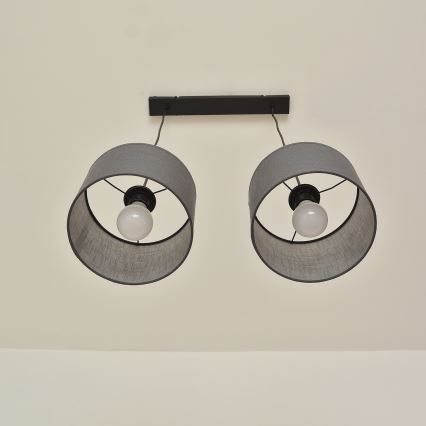 Luster na sajli ALBA 2xE27/15W/230V siva