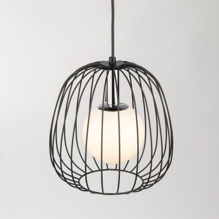 Luster na sajli BELL 1xG9/12W/230V pr. 24 cm crna/sjajni krom