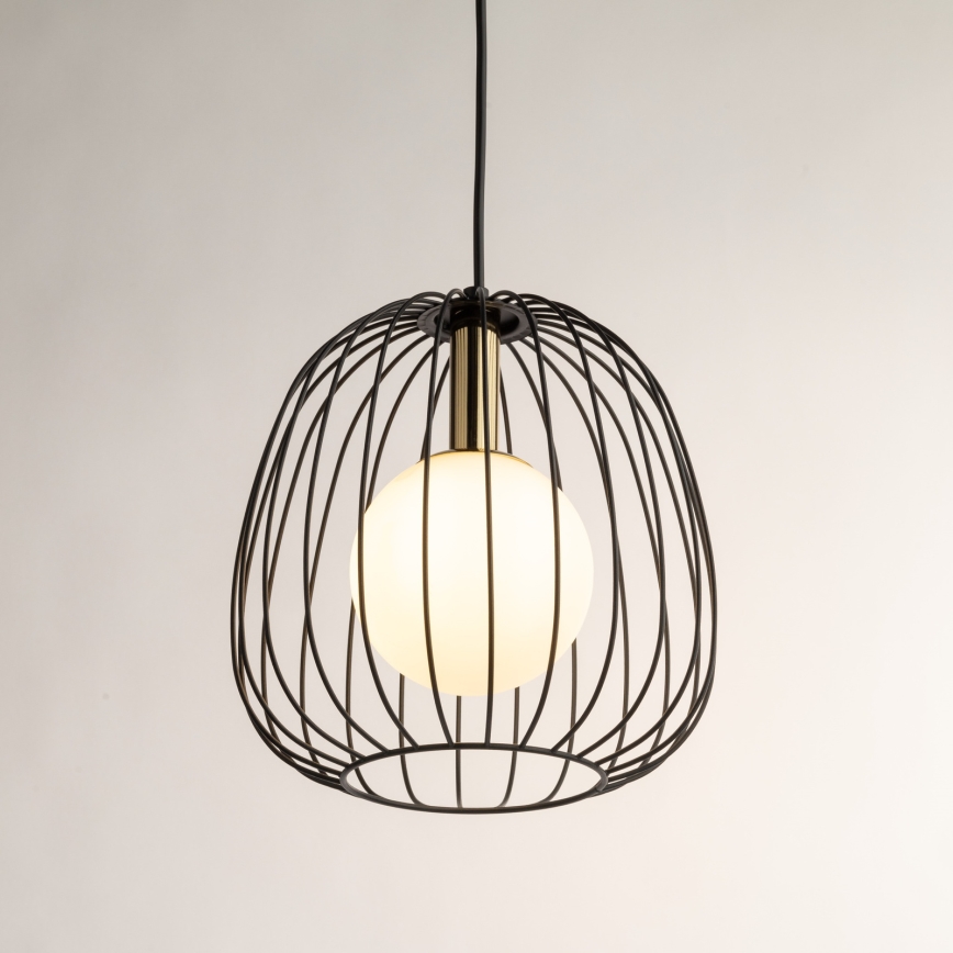 Luster na sajli BELL 1xG9/12W/230V pr. 24 cm crna/zlatna