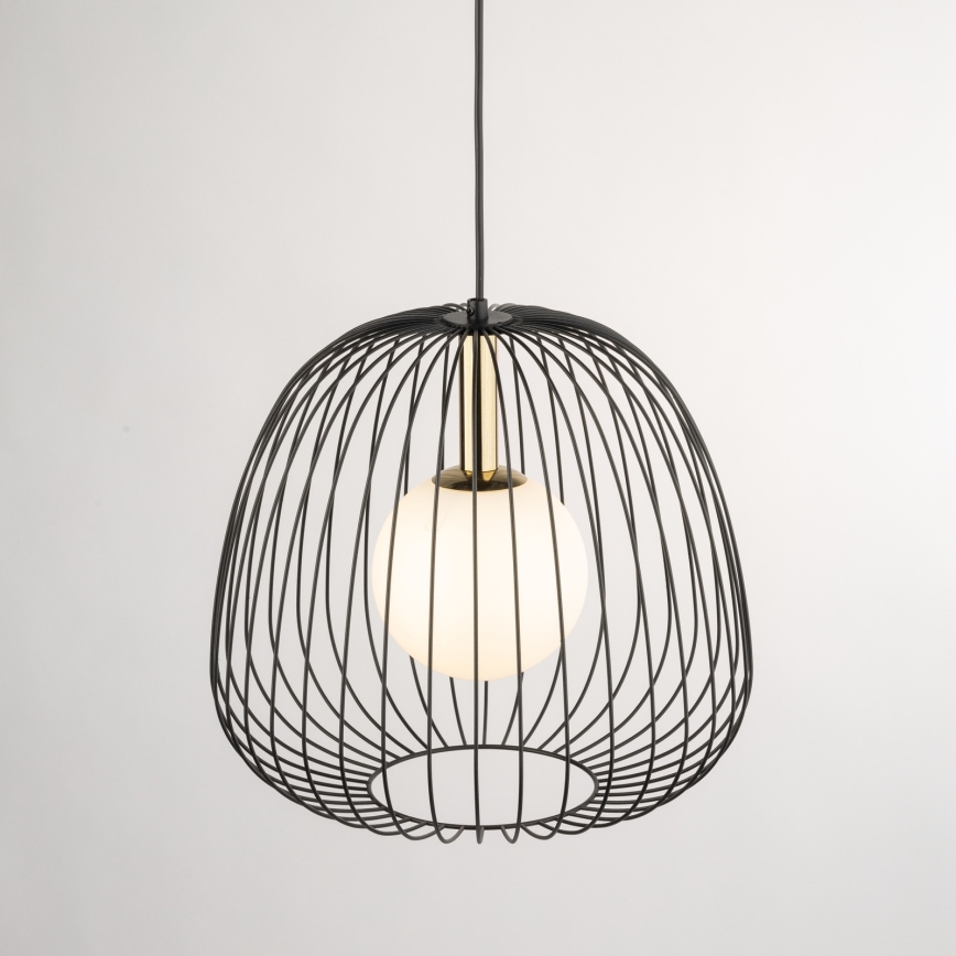 Luster na sajli BELL 1xG9/12W/230V pr. 33 cm crna/zlatna