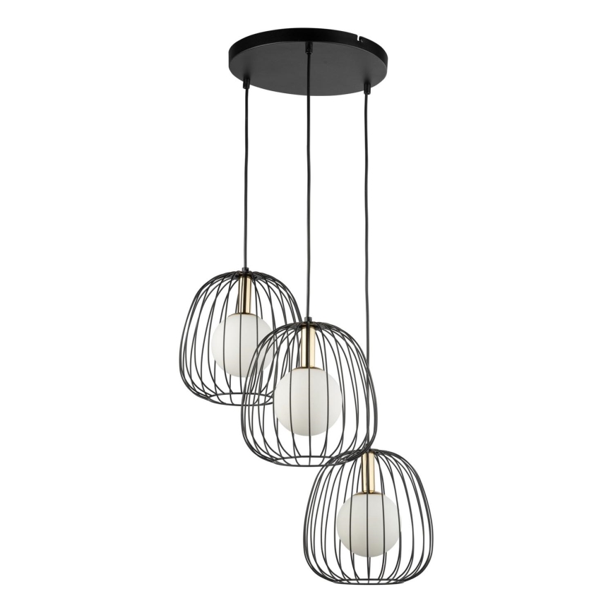 Luster na sajli BELL 3xG9/12W/230V crna/zlatna