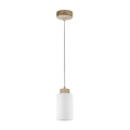 Luster na sajli BOSCO 1xE27/60W/230V breza