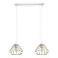 Luster na sajli CEED GOLD 2xE27/60W/230V bijela/zlatna