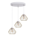 Luster na sajli CEED GOLD 3xE27/60W/230V pr. 45 cm bijela/zlatna