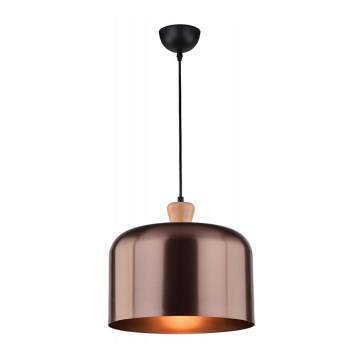 Luster na sajli DICTORIA 1xE27/40W/230V