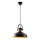 Luster na sajli DODO 1xE27/40W/230V crna/brončana