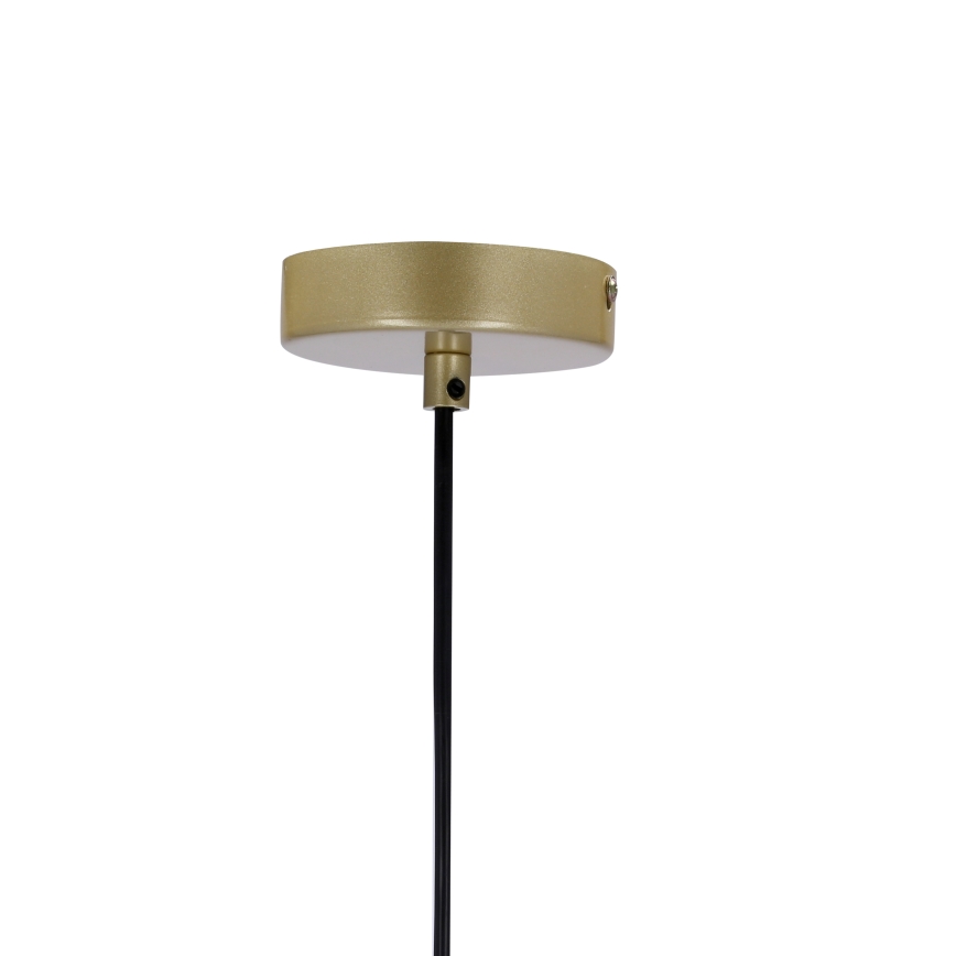Luster na sajli DUO 2xE14/40W/230V zlatna/crna