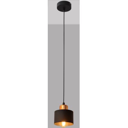 Luster na sajli EDISON 1xE27/15W/230V