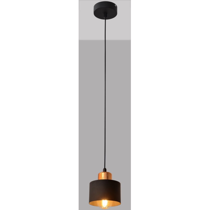 Luster na sajli EDISON 1xE27/15W/230V