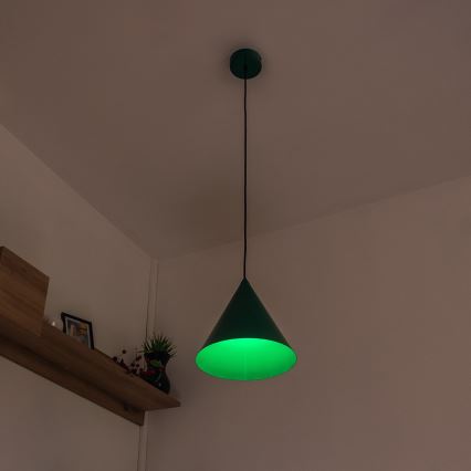 Luster na sajli ETNA II 1xE27/15W/230V, promjer 25 cm, zelene boje