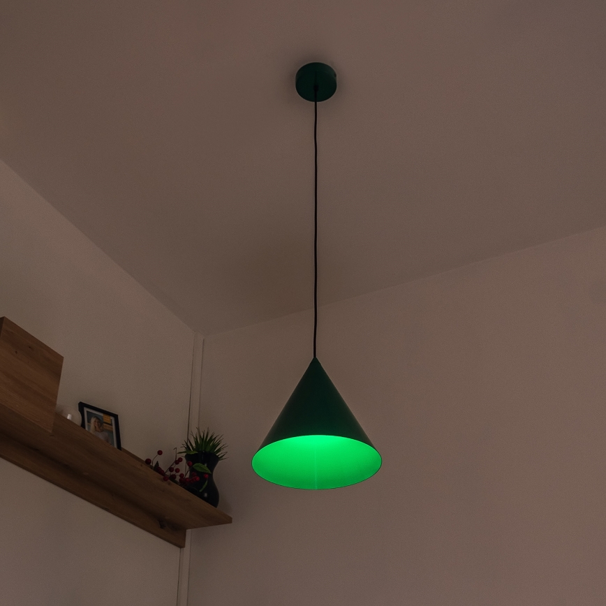 Luster na sajli ETNA II 1xE27/15W/230V, promjer 25 cm, zelene boje