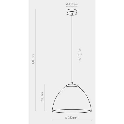 Luster na sajli FARO 1xE27/60W/230V crna
