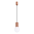 Luster na sajli HALO 1xG9/8W/230V pr. 12 cm smeđa