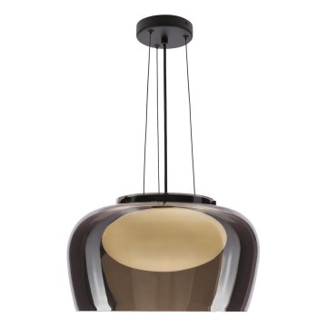 Luster na sajli INSIEME 1xGX53/10W/230V Ø 38 cm dimno-crna